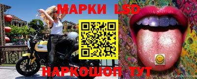 мяу мяу мука Владикавказ