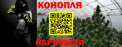 мяу мяу мука Владикавказ